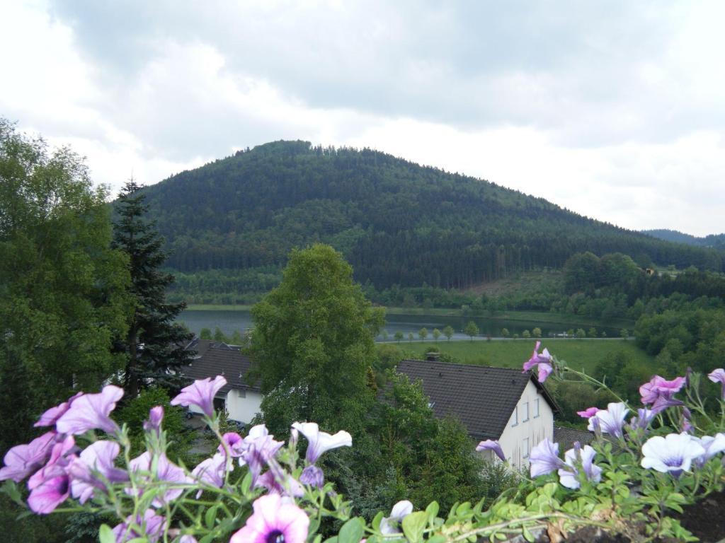 Apartment Schoenblick Winterberg Extérieur photo